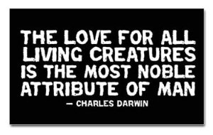 darwin-quote